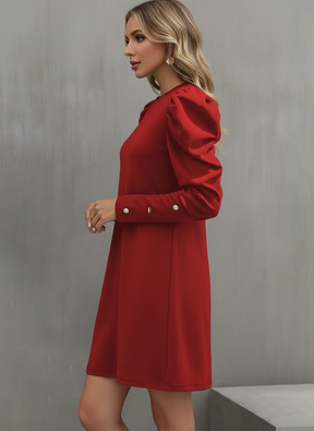 Timeless Elegance: Long Sleeve Button Dress