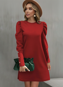 Timeless Elegance: Long Sleeve Button Dress