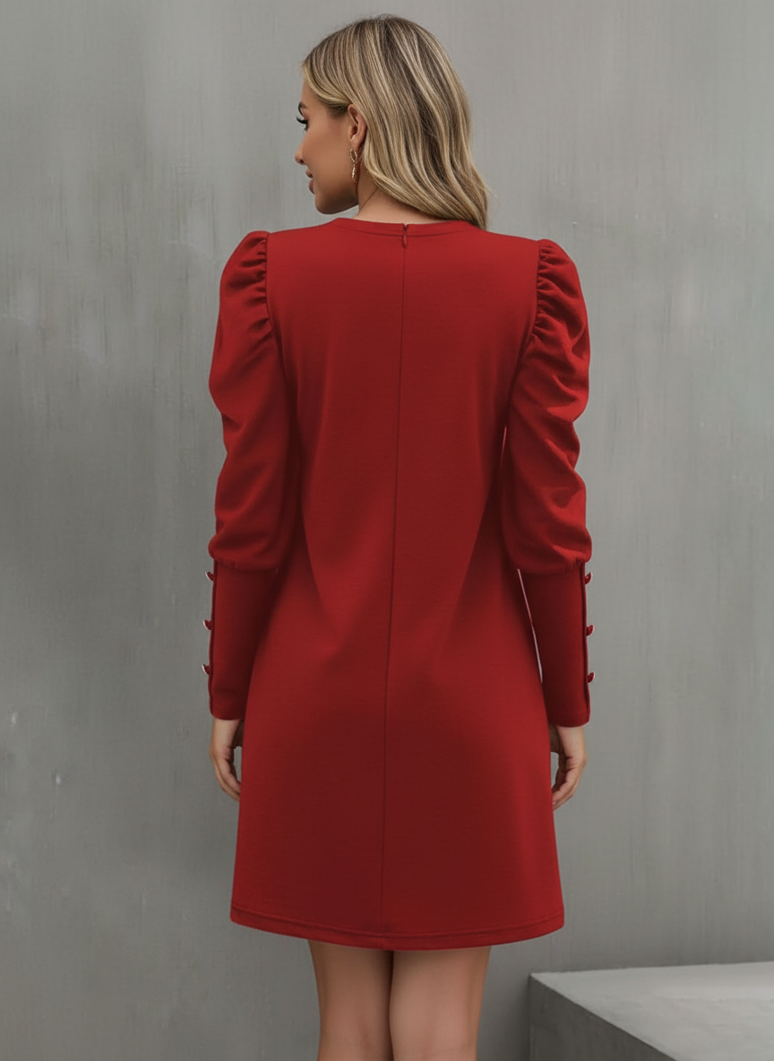 Timeless Elegance: Long Sleeve Button Dress